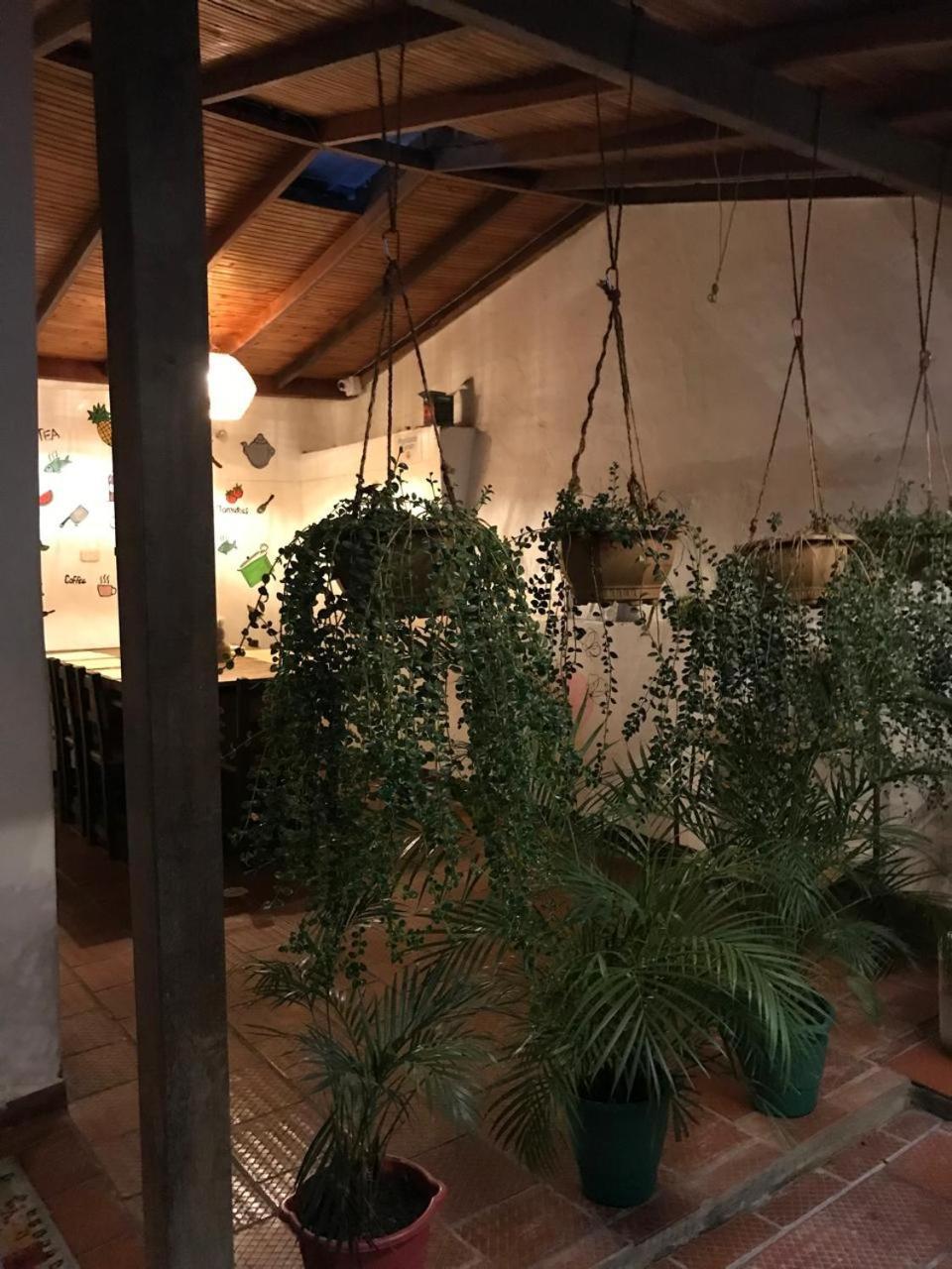 סן גיל The Best Adventure Hostel מראה חיצוני תמונה
