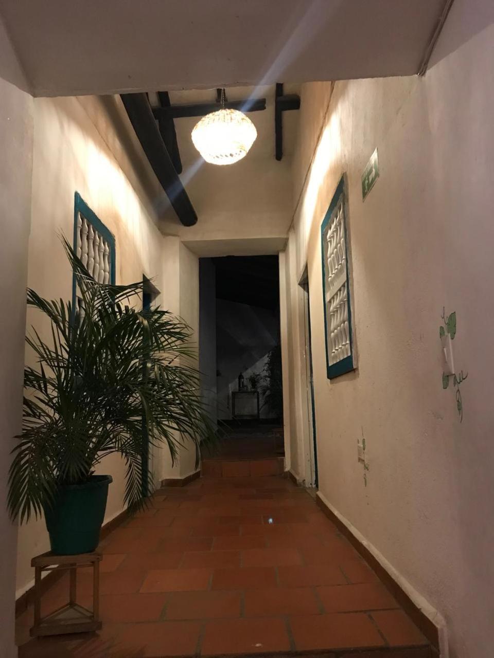 סן גיל The Best Adventure Hostel מראה חיצוני תמונה