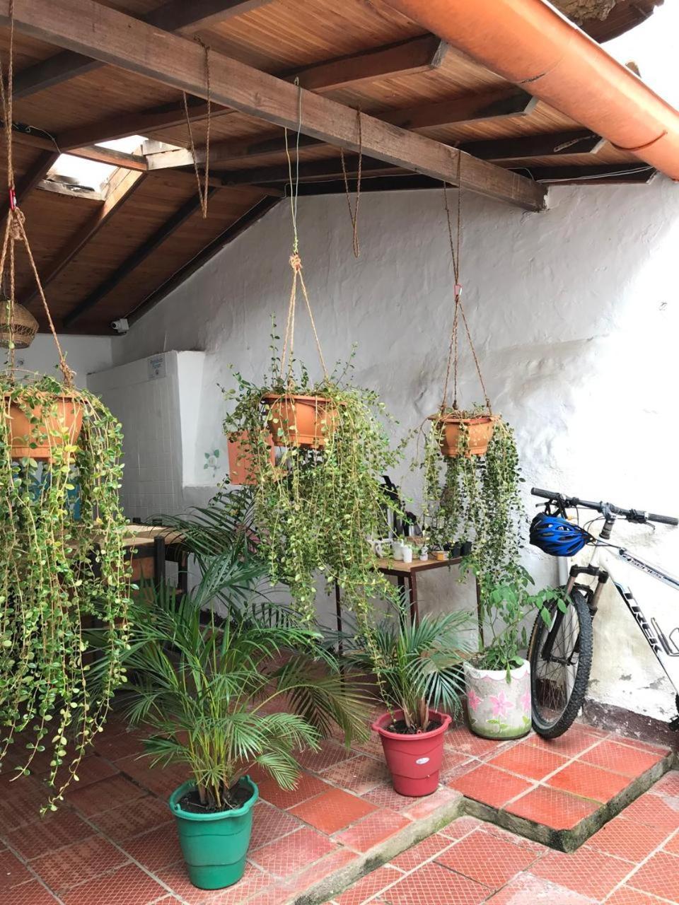 סן גיל The Best Adventure Hostel מראה חיצוני תמונה